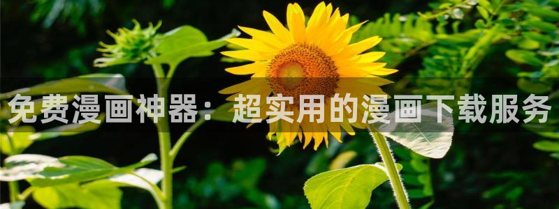 腐漫无遮挡