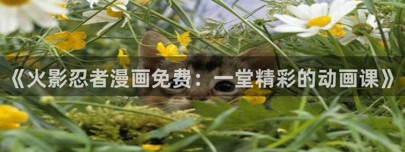 双女主腐漫