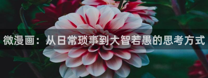 腐漫漫画网