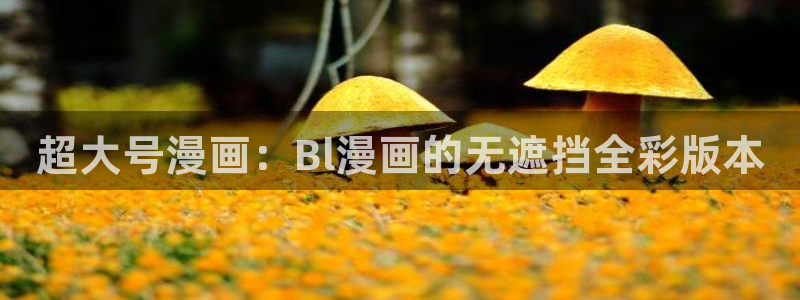 腐漫宅