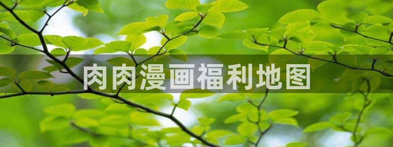 耽美腐漫画