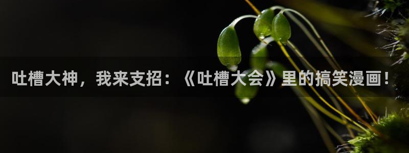 腐漫画cc漫画
