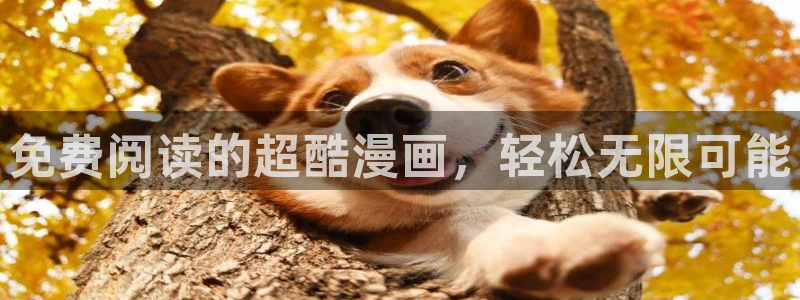 黄色腐漫