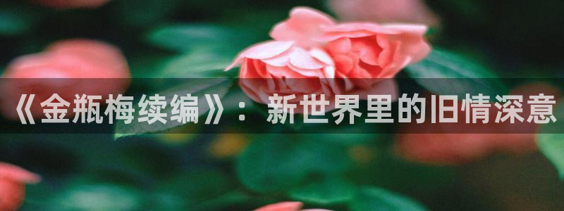 韩腐漫画网站