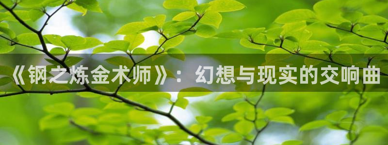 漫画腐漫：《钢之炼金术师》：幻想与现实的交响曲