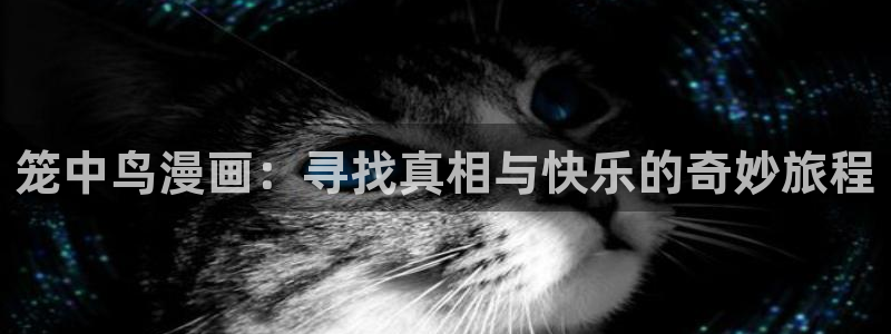 腐漫君