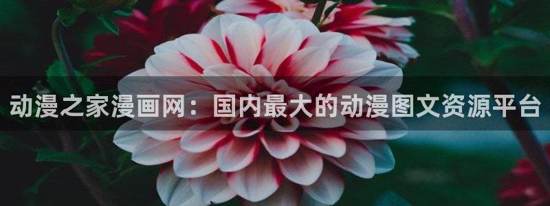 腐漫免费网站