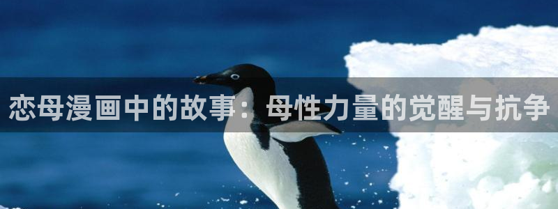 动漫腐漫