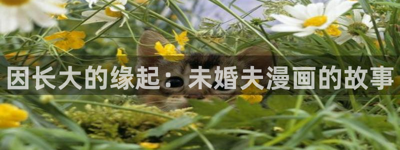 腐漫画官网在线观看