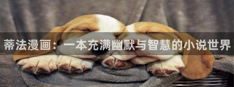 腐漫圈下载