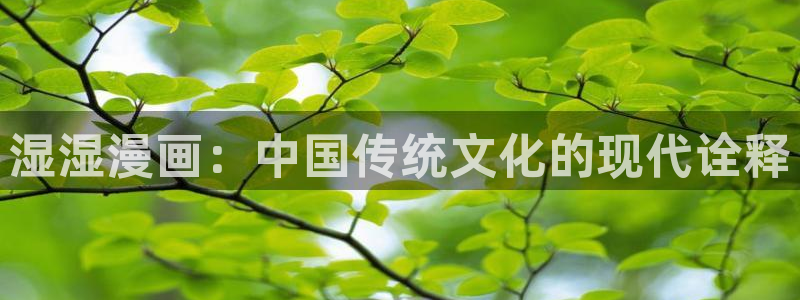 bl腐漫画网站：湿湿漫画：中国传统文化的现代诠释